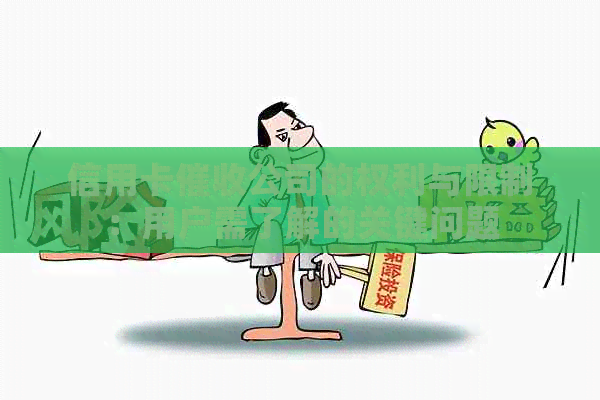 信用卡公司的权利与限制：用户需了解的关键问题