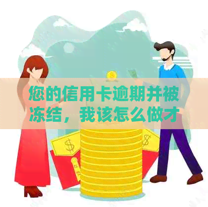 您的信用卡逾期并被冻结，我该怎么做才能解冻银行卡？