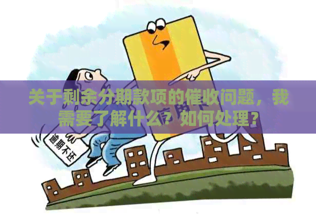 关于剩余分期款项的问题，我需要了解什么？如何处理？