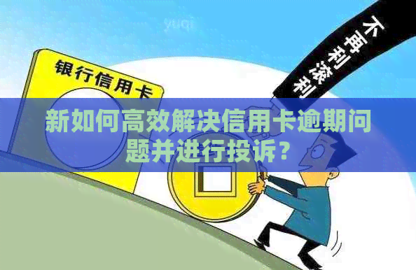 新如何高效解决信用卡逾期问题并进行投诉？