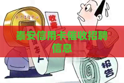 泰安信用卡招聘信息