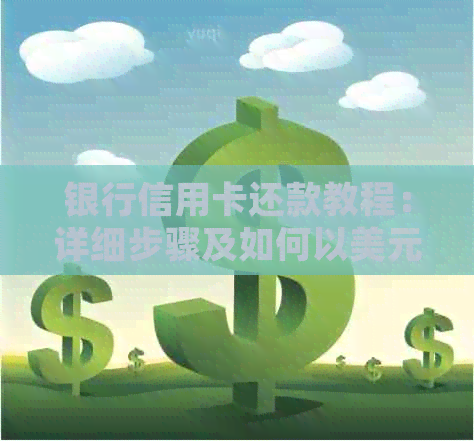 银行信用卡还款教程：详细步骤及如何以美元偿还账单
