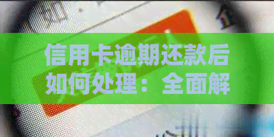 信用卡逾期还款后如何处理：全面解决方案和建议