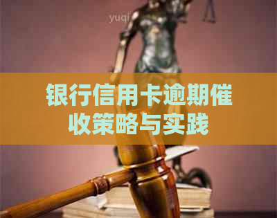 银行信用卡逾期策略与实践