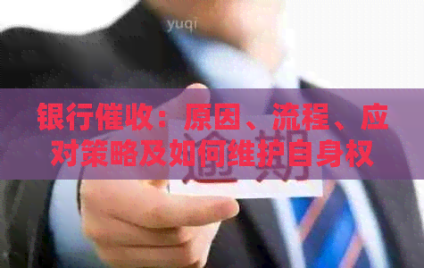 银行：原因、流程、应对策略及如何维护自身权益全解析