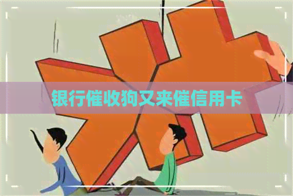 银行狗又来催信用卡