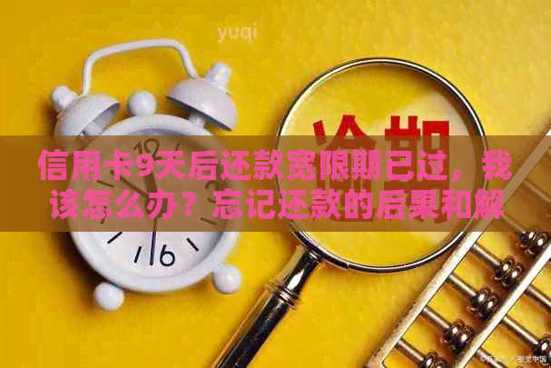 信用卡9天后还款宽限期已过，我该怎么办？忘记还款的后果和解决办法全解析