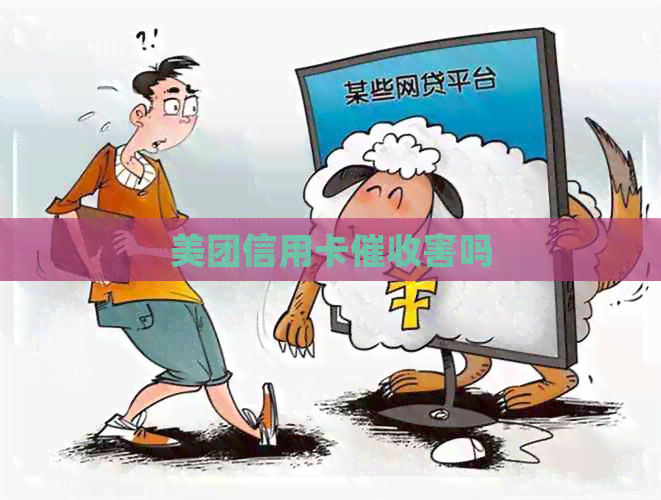 美团信用卡害吗