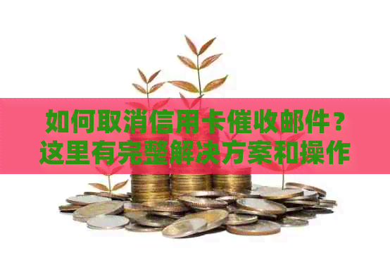如何取消信用卡邮件？这里有完整解决方案和操作步骤