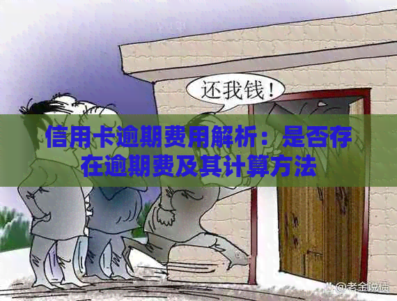 信用卡逾期费用解析：是否存在逾期费及其计算方法