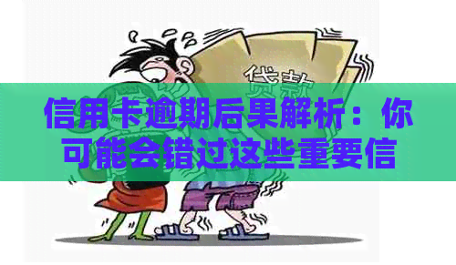 信用卡逾期后果解析：你可能会错过这些重要信息！