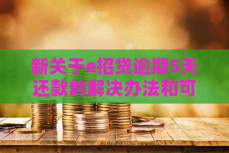 新关于e招贷逾期5天还款的解决办法和可能产生的影响全面解析