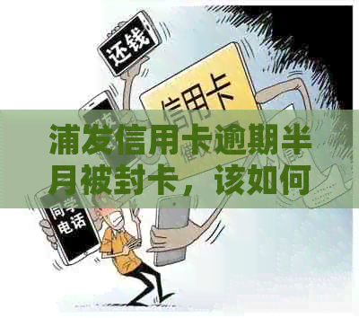 浦发信用卡逾期半月被封卡，该如何恢复信用并解决此问题？