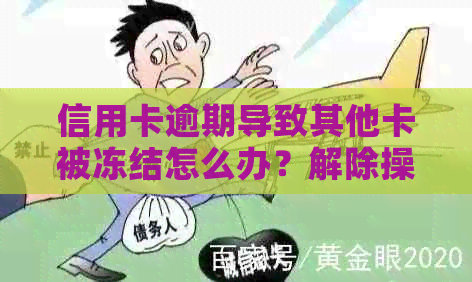 信用卡逾期导致其他卡被冻结怎么办？解除操作与影响一文解析