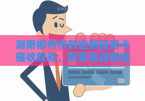 湖南郴州市的逾期信用卡服务，联系电话和地址查询