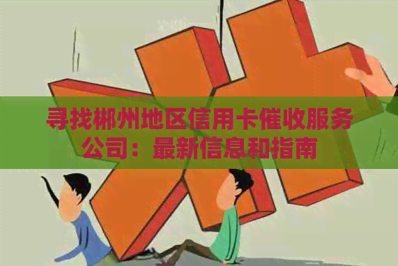 寻找郴州地区信用卡服务公司：最新信息和指南