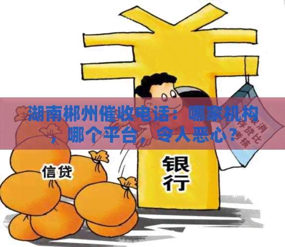 湖南郴州电话：哪家机构，哪个平台，令人恶心？