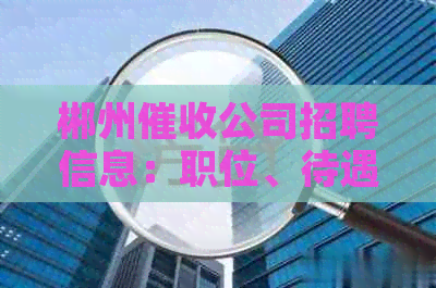 郴州公司招聘信息：职位、待遇、要求全面解析，助您找到理想工作