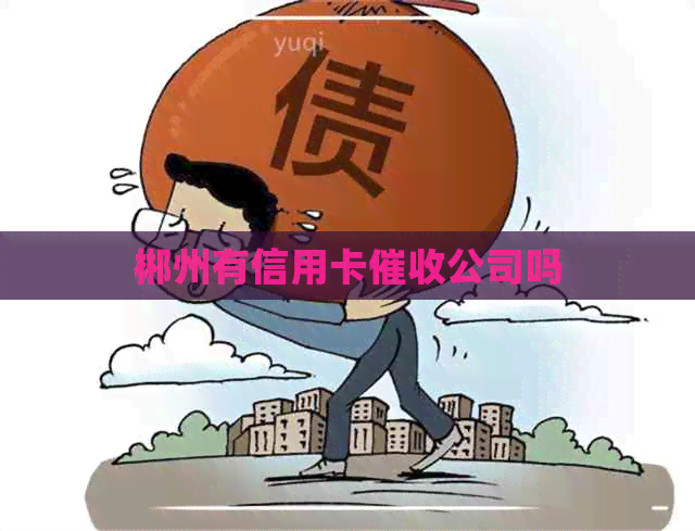 郴州有信用卡公司吗
