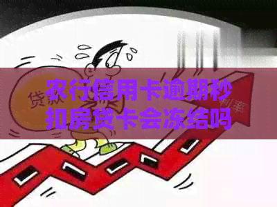 农行信用卡逾期秒扣房贷卡会冻结吗？如何处理？