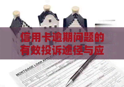 信用卡逾期问题的有效投诉途径与应对策略