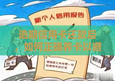 逾期信用卡还款后，如何正确养卡以避免影响信用？