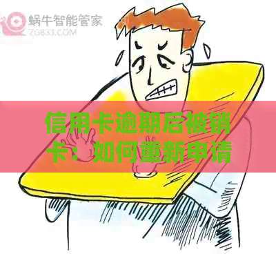 信用卡逾期后被销卡：如何重新申请并分期还款？