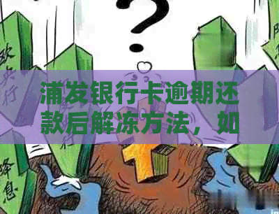 浦发银行卡逾期还款后解冻方法，如何解除冻结？