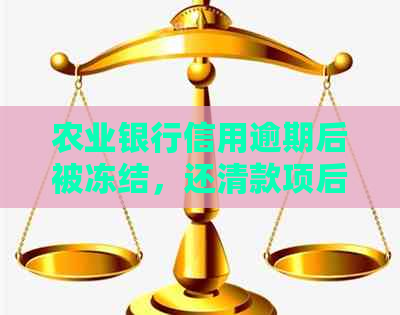 农业银行信用逾期后被冻结，还清款项后多久能解冻并继续使用？