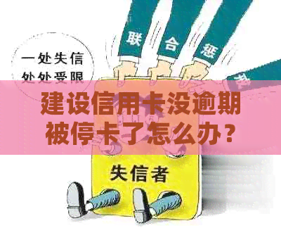 建设信用卡没逾期被停卡了怎么办？如何恢复使用？是否还能继续使用？