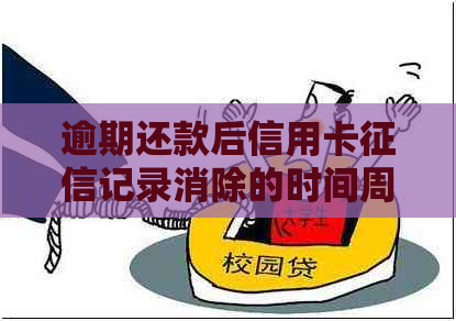 逾期还款后信用卡记录消除的时间周期：了解详情以避免影响个人信用