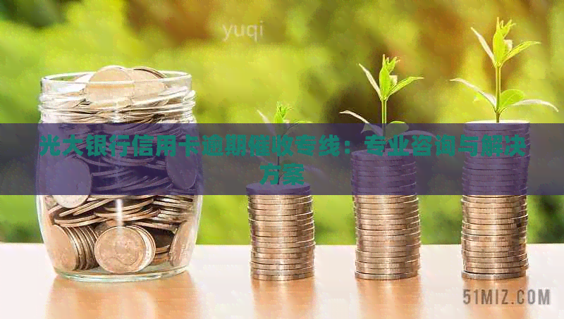 光大银行信用卡逾期专线：专业咨询与解决方案
