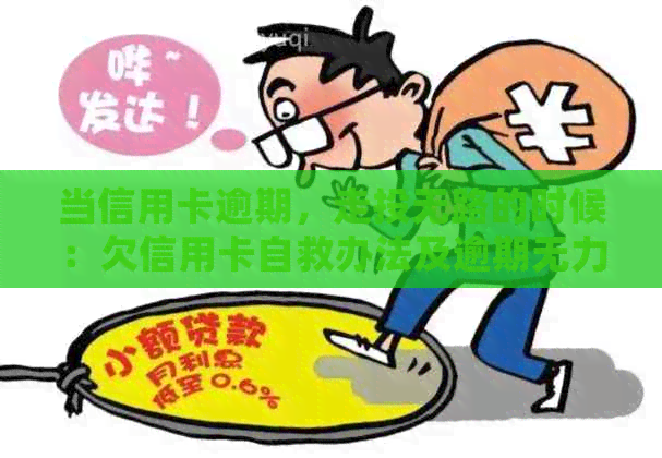 当信用卡逾期，走投无路的时候：欠信用卡自救办法及逾期无力偿还处理建议