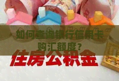 如何查询银行信用卡购汇额度？
