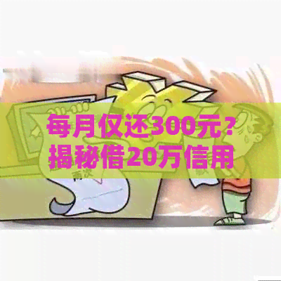 每月仅还300元？揭秘借20万信用卡背后的风险