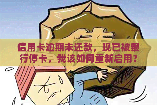 信用卡逾期未还款，现已被银行停卡，我该如何重新启用？