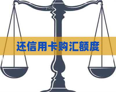 还信用卡购汇额度