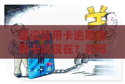 建设信用卡逾期会销卡吗现在？如何处理和重新办理？