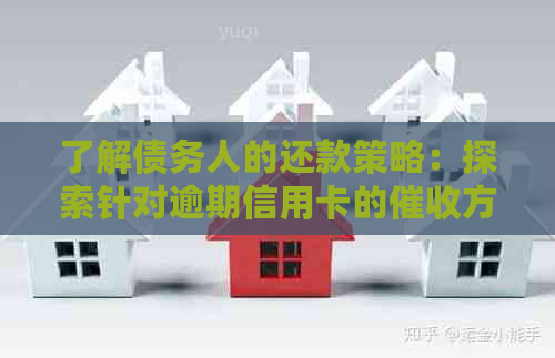 了解债务人的还款策略：探索针对逾期信用卡的方法和目标