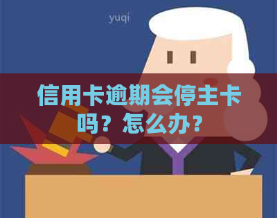 信用卡逾期会停主卡吗？怎么办？