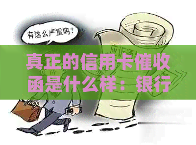 真正的信用卡函是什么样：银行寄通知书，法律法规与流程全解析