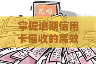 掌握逾期信用卡的高效策略与实践方法