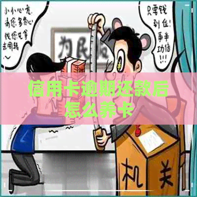 信用卡逾期还款后怎么养卡