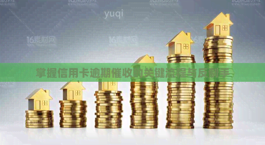 掌握信用卡逾期的关键流程与反制手