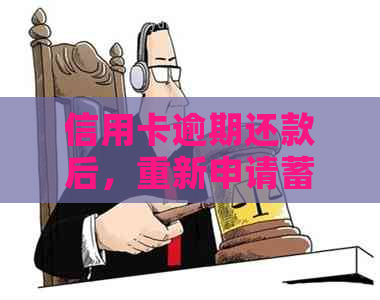 信用卡逾期还款后，重新申请蓄卡是否可用？