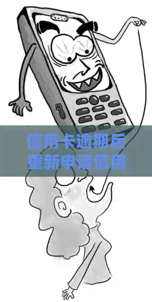 信用卡逾期后重新申请信用卡的时间：详细指南与建议