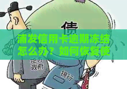 浦发信用卡逾期冻结怎么办？如何恢复使用？