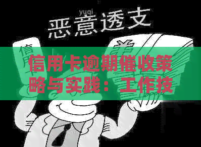信用卡逾期策略与实践：工作技巧与案例分析