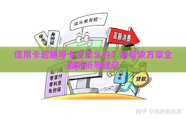 信用卡逾期停卡后怎么办？新解决方案全面解析与建议