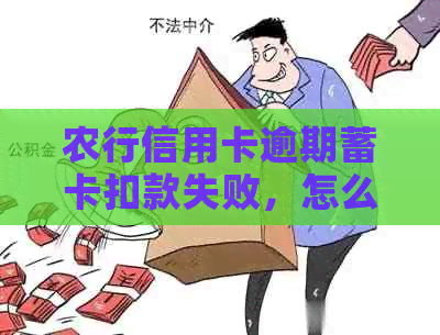 农行信用卡逾期蓄卡扣款失败，怎么办？